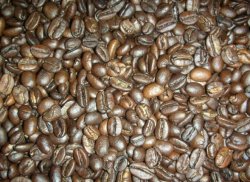 画像1: メキシコ マヤビニック　（生豆250ｇ焙煎）