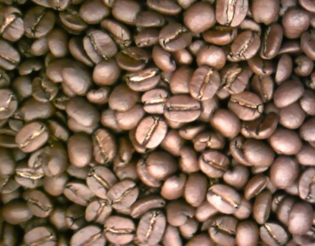 カフェインレスコロンビア　　（生豆250ｇ焙煎）